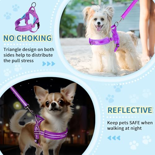 Lukovee No Pull Dog Harness and Leash Set, Soft Padded Small Dog Harness, Neck & Chest Adjustable Reflective Vest Puppy Harness with 4ft Lightweight Anti-Twist Dog Leash for Small Dogs (Purple, M) - color: A-Purple, size: M ( Chest 19.7'' ~ 29.1'')