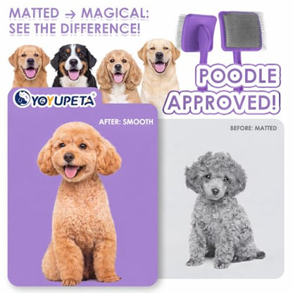 Large Slicker Brush, 2Pc Doodle Grooming Kit with Comb,Purple | With two leather protective covers; ideal for Poodles, Labradoodles; extra long pin; premium wooden handle; removes mats. - color: Purple