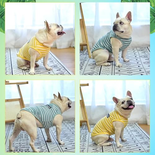MIHACHI Dog Shirts Cotton Striped T-Shirt, Summer Pet Clothes for Small Dogs, 2-Pack Soft Puppy Apparel Cat Tee, Sleeveless Lightweight, Quick Dry, Breathable,Stretchy, Blue Yellow S - color: Green & Yellow, size: Small