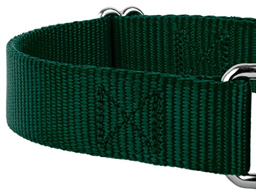 Country Brook Petz - Green Martingale Heavyduty Nylon Dog Collar and Double Handle Leash (1 Inch, Extra Large) - color: Green, size: Extra Large (Pack of 1)