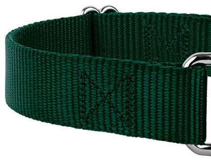 Country Brook Petz - Green Martingale Heavyduty Nylon Dog Collar and Double Handle Leash (1 Inch, Extra Large) - color: Green, size: Extra Large (Pack of 1)