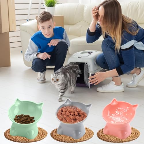 3PCS Elevated Cat Bowls, 15° Tilted Raised Cat Food Bowl Anti-Vomiting, Raised Cat Food and Water Bowl Set for Protecting Pet's Spine, Shallow Cat Food Dish Whisker Friendly - color: Cute Style