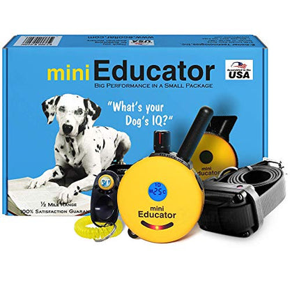 Educator ET-300 Mini E Collar for Dog Training with Remote - 1/2 Mile Range, Waterproof, 100 Blunt Stimulation Levels, Tone or Vibration Mode, Night Light Tracking for Small, Medium & Large Dogs - size: 1-Dog (ET-300)