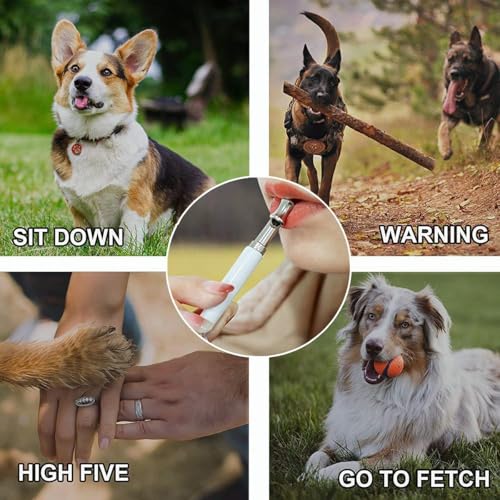 2 Pack Dog Whistle, Dog Whistle to Stop Barking Neighbors Dog, Adjustable Ultrasonic Silent Dog Whistle, Professional Recall Dog Training Whistles with Lanyard (2)