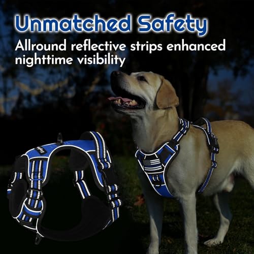 Eagloo Dog Harness Small Sized, Easy Wearing with 3 Buckles, Adjustable No Pull Pet Harness with 2 Rings for Walking, No Chock Reflective Soft Padded Vest with Control Handle, Blue & Black, S - color: Blue & Black, size: Small