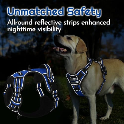 Eagloo Dog Harness Small Sized, Easy Wearing with 3 Buckles, Adjustable No Pull Pet Harness with 2 Rings for Walking, No Chock Reflective Soft Padded Vest with Control Handle, Blue & Black, S - color: Blue & Black, size: Small