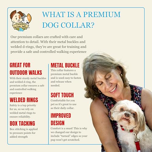 Country Brook Petz - Premium Nylon Dog Collar with Metal Buckle for Small Medium Large Breeds - 10+ Warm Colors (Medium, 3/4 Inch, Red)