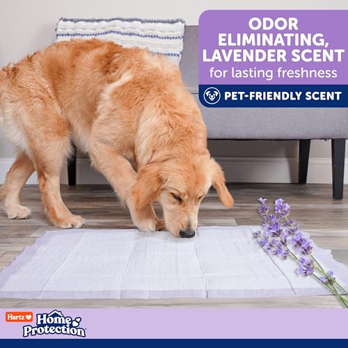 Hartz Home Protection Super Absorbent Odor Eliminating Lavender Scented No Leak Dog Pads, 50 count - size: 21 x 21 (50 count)