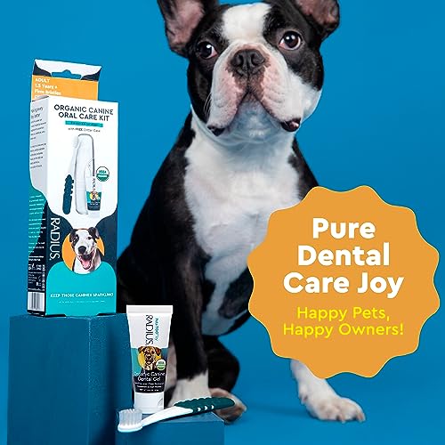 RADIUS Canine Oral Care Kit, Includes 1 Pet Toothbrush, 1 Critter Case, and 0.8 oz Canine Pet Toothpaste, Firm Bristle & Non Toxic Toothpaste for Dogs - style: Adult - Pack of 1