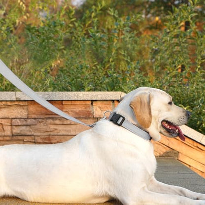 Dog Leash 6 FT Padded Handle Nylon Reflective Dogs Leashes for Small Dogs Silver - color: Refl Silver, size: Small : 5/8" x 6 FT