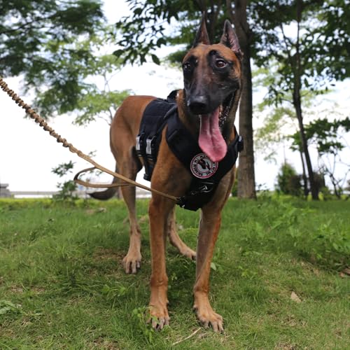 ICEFANG GN3 Tactical Dog Harness with 6X Buckle,Dog Molle Vest with Handle,3/4 Body Coverage,Hook and Loop Panel for ID Patch,No Pulling Front Clip (L (28"-35" Girth), Black) - color: Black, size: Large (Pack of 1)