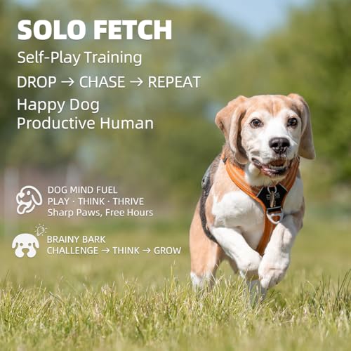 Automatic Dog Ball Launcher-Small Silent Dog Ball Thrower, 3 Adjustable Distances (20ft/33ft/46ft), Rechargable,Includes 3 Durable 2.3" Balls for Small/Medium Dogs (Yellow, Medium) - color: Yellow