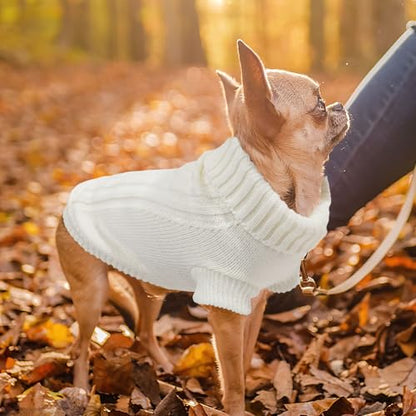 Chihuahua Clothes Dog Sweaters for Small Dogs Girl Fall Cute Winter Warm XXS Dog Clothes Thick Pet Puppy Outfit Extra Small Dog Sweater (XX-Small) - color: White, size: XX-Small