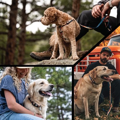 Wolfgang Heavy Duty, Adjustable Dog Collar with Quick Release Nylon Buckle for Walking & Training, Overland Print, Medium - color: OverLand Print, size: Medium (1 Inch x 12-18 Inch)