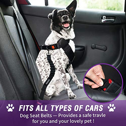COOYOO Dog Seat Belt,3 Piece Set Retractable Dog Car Harness Adjustable for Vehicle Nylon Pet Safety Heavy Duty & Elastic - color: Set 04-Black+Purple