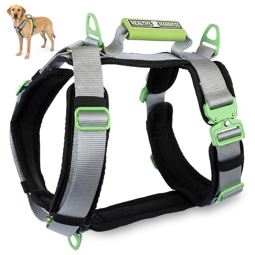 Ultimate Urban Dog Harness - Heavy Duty Design, No Choke, No Pull. Adjustable, Comfy Padding, Easy On/Off, Metal Hardware, Emergency Handle and 3 Connect Points (Silver, S) - color: Silver, size: S