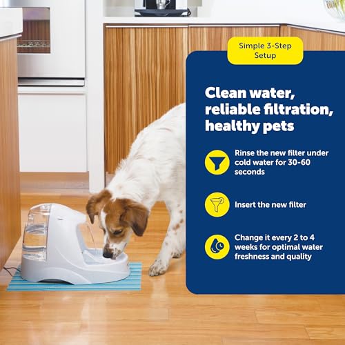 PetSafe Drinkwell Replacement Carbon Filter, Dog and Cat Water Fountain Filters, pack of 3 - size: 3 Filters