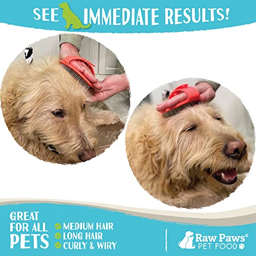 Raw Paws Grooming Brush for Dogs & Cats - Rubber Tipped Pin Brush, 1 ct | Deshedding Brush - Short & Long Hair - Gentle Detangler - Hand-Held Pet Grooming Tool - Massage Brush