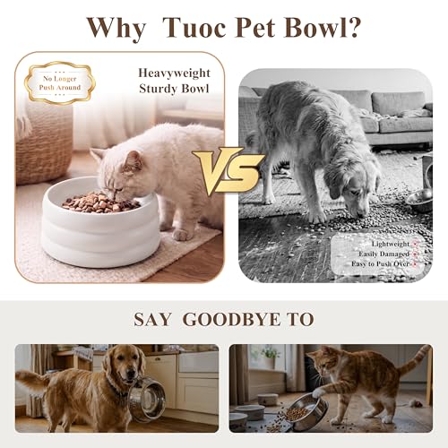 BOBO & Bowl Pet Drinking Bowl (1.2L/40 oz), Food-Grade Ceramic Water Bowl for Small & Medium Dogs - Elevated, Heavy Sturdy, Dishwasher & Microwave Safe, Black - color: White