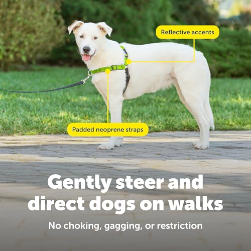 PetSafe Easy Walk Deluxe Dog Harness, No Pull Dog Harness Perfect for Leash & Harness Training Stops Pets from Pulling and Choking on Walks Medium/Large, Apple - color: Apple Green, size: Medium/Large