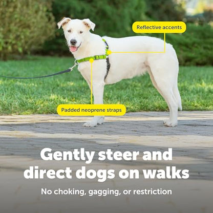 PetSafe Easy Walk Deluxe Dog Harness, No Pull Dog Harness Perfect for Leash & Harness Training Stops Pets from Pulling and Choking on Walks Medium/Large, Apple - color: Apple Green, size: Medium/Large