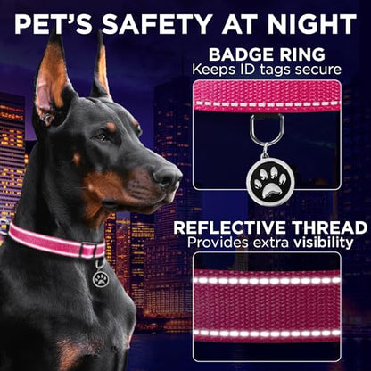 TECEUM Reflective Dog Collar – Hot Pink – M – Extra Soft Padding – Basic Nylon Pet Collar – Quick Release Buckle – Fits Small, Medium and Large Dogs, Puppies, Cats – ESA & Service Dog Options - color: Hot Pink, size: Medium