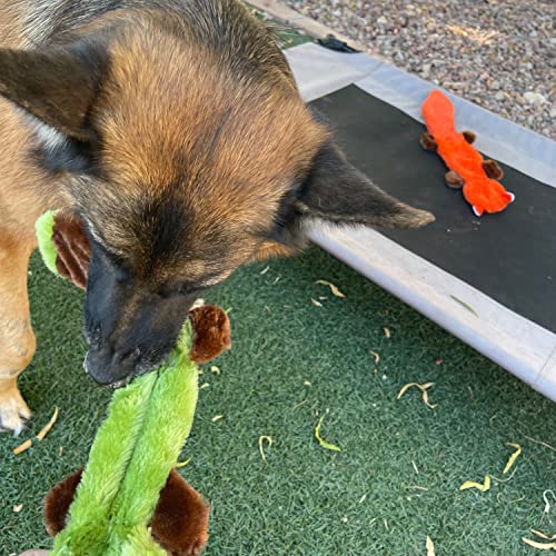 Jalousie 5 Pack Stuffingless Dog Squeaky Toys Dog Toy w/Durable Liner No Stuffing Dog Toy - Dog Toys Crinkle Paper Squeaker Toy for Medium Large Dogs (5 Pack - Color 2 - Squeaky) - color: 5 Pack - Color 2 - Squeaky