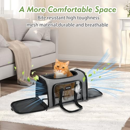 Soundy Large Cat Carrier Dog Carrier Under 25 Lbs,Collapsible Ventilated Portable Pet Bag with Soft Sided Breathable Mesh for Long Car Trips Maxi Load 2 Kittens or Small, Medium Dog (Large Grey) - color: Grey