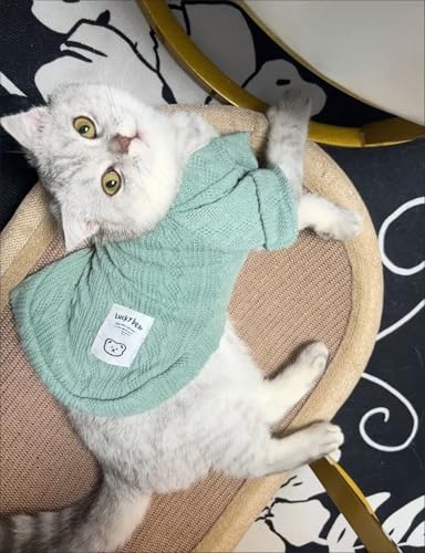 Kitten Clothes, Dog Cat Sweaters Pet Puppy Knitwear Costume Fall Winter Coat for Small Medium Cats Dog Girl Boy Fit 2.2-23lb - color: Green, size: Small