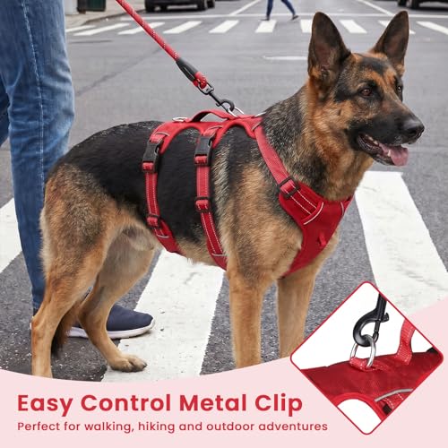Escape Proof Dog Harness and Leash Set,Soft Padded Full Body Pet Harness, No Pull Reflective Adjustable Dog Vest with Handle, Easy Control Dog Harness for Medium Large Dogs Training Walking Running - color: Red, size: XL