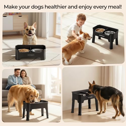 URPOWER Mess Proof Elevated Dog Bowls, High Wall Splash Guard Design, 4 Height Adjustable Raised Bowl Stand, 2 Stainless Steel Bowls, Non-Slip Food Water Set for Small Medium Large Dogs - color: Black, size: Medium