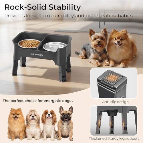URPOWER Mess Proof Elevated Dog Bowls 4 Height Adjustable Raised Bowl Stand with 2 Stainless Steel Dog Bowls Non-Slip Food and Water Bowl Set for Small Dogs, Grey - color: Grey, size: Small