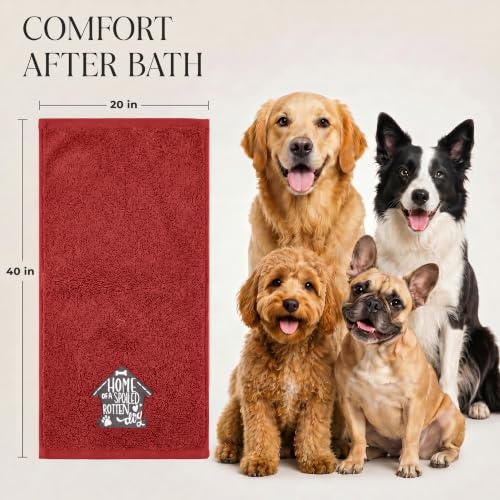 DAN RIVER Dog Towel - Pack of 1, 100% Cotton, 20x40, Ultra Soft 450 GSM, Super Absorbent & Quick Drying Towel for Dogs, Cats, and Other Pets, Salsa. - color: Salsa