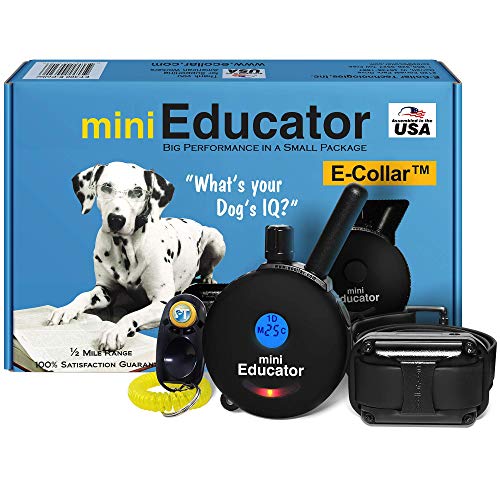 Educator ET-300 Black Mini E Collar for Dog Training with Remote - 1/2 Mile Range, Waterproof, 100 Blunt Stimulation Levels, Tone or Vibration Mode, Night Light Tracking for Small, Medium & Large Dogs - size: 1-Dog (ET-300 Black)