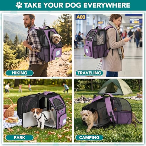 PetAmi Expandable Dog Backpack Carrier for Cats & Pets, Breathable Cat Carrier Backpack with Top Window & Multi-Entry, Ventilated Foldable Travel Carrier for Small Medium Pets up to 18 lbs, Purple - color: Purple