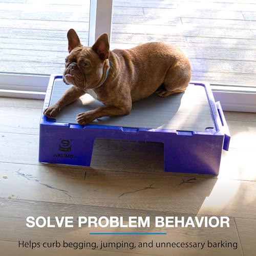 Blue-9 KLIMB Jr. Professionally Designed Dog Training Platform and DIY Guide for Behavior Basics, Made in The USA, Purple - color: Purple