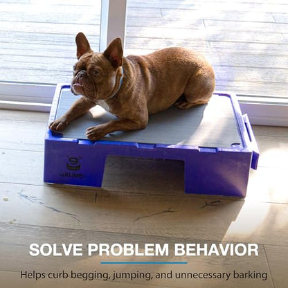 Blue-9 KLIMB Jr. Professionally Designed Dog Training Platform and DIY Guide for Behavior Basics, Made in The USA, Purple - color: Purple