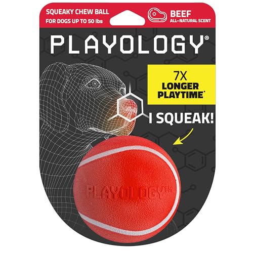 Playology Dog Toys | Squeaky Chew Ball for Dogs | Beef Scented Medium Dog Ball | Bouncy Floating Chew Toys for Fetch - size: Medium, style: Beef