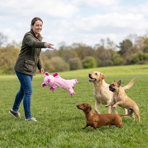 Fuzzl Pickles Pig Crinkle & Squeak Dog Toy – No Mess Minimal Stuffing Plush Puppy Toy – Interactive Soft Dog Squeaky Toy for Small to Medium Dogs – Durable Shaking, Tossing & Cuddling Toy - style: Pickles Pig