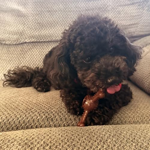SPOT Bam-Bones Plus Triple Chew Dog Toy, Durable Bamboo Fiber & Nylon, for Aggressive Chewers, Adult Dogs & Teething Puppies Under 30lbs, 4in, Bison Flavor - size: 4 in (1-Pack)