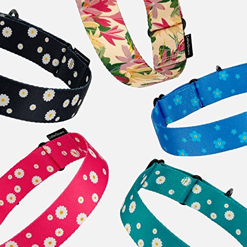 CollarDirect Martingale Dog Collar Heavy Duty Nylon Slip Collars for Small Medium Large Dogs [Nylon, Patterned, Pink, L, 15"-20"] - color: Pink, size: Large (Neck Size 15"-20")