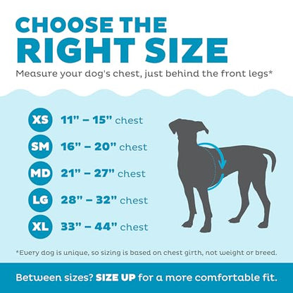 Outward Hound Granby Splash Yellow Dog Life Jacket, Small - color: Yellow, size: Small (Chest Girth: 16"-20")