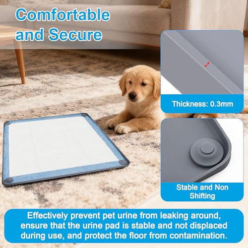 Catcan Dog Pee Pad Holder Starter Kit, Includes 1 Non-Slip Tray and 40 Disposable Training Pads, Housebreaking Essentials for Puppies (24 x 24In)
