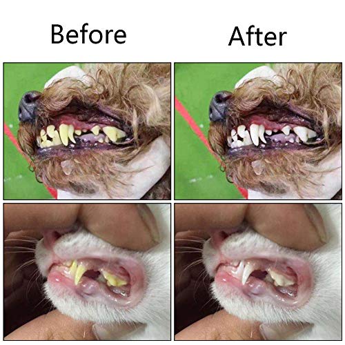 Orgrimmar 2 Pcs 3-Sided Pet Toothbrush Dog Cat Mouth Dental Teeth Care | Pet Brush for Bad Breath Tartar Cleaning - color: Blue&orange