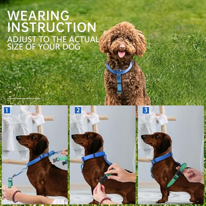 Roses&Poetry Dog Harness Medium Sized Dog, 6 Point Adjustable Fit No Pull Harness with Handle for Control and Easy Walking, Reflective Pet Halter Harnesses（Bluegreen-M） - color: BlueGreen, size: Medium