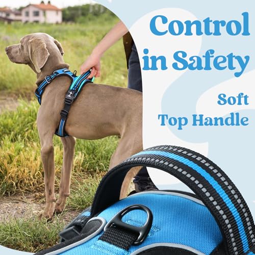 rabbitgoo Dog Harness Small Sized, No Pull Pet Harness with 3 Buckles, Adjustable Soft Padded Vest with Control Handle, Walking Reflective Pet Vest for Small Dogs, Sky Blue, S - color: Sky Blue, size: Small