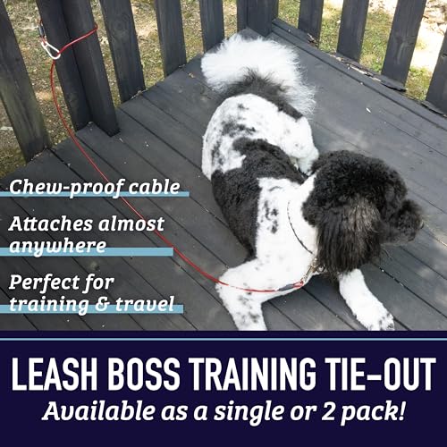 5 Foot Training Tie Out Cable - size: 5 Foot