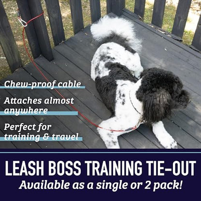 5 Foot Training Tie Out Cable - size: 5 Foot