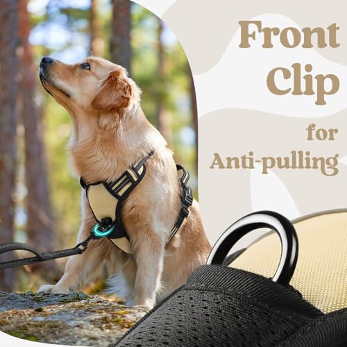 rabbitgoo Dog Harness Small Sized, No Pull Easy On & Off with 3 Buckles Pet Harness, Adjustable Soft Walking Vest with 2 Clips and Handle, Reflective for Small Dogs, Beige, S - color: Beige, size: Small