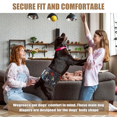 wegreeco Washable Male Dog Belly Band (Stylish Pattern) - Pack of 3 - Dog Diapers Male - Washable Male Dog Belly Wrap (Dinosaur Fossils, X-Small) - color: Dinosaur Fossils, size: X-Small (Pack of 3)